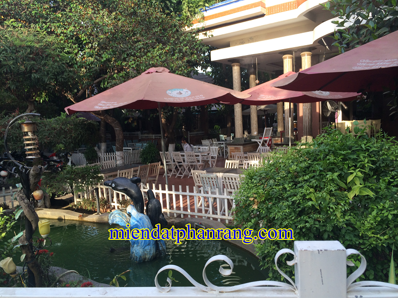 cafe suối nguồn phan rang